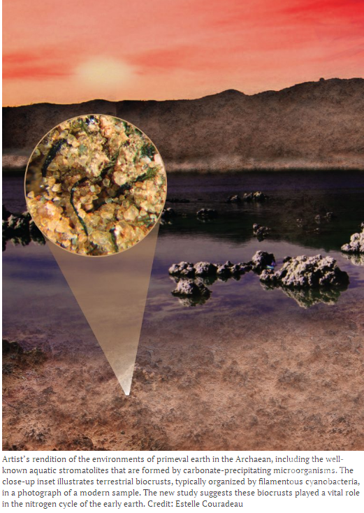 研究表明沙漠中的微生物群落曾帮助孕育古海洋
