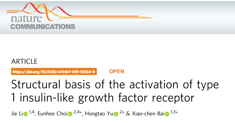 白晓辰/于洪涛团队联合揭示胰岛素样生长因子受体igf1r激活的分子机制