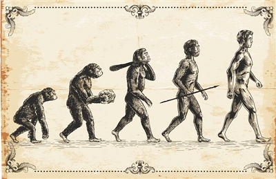 人类进化经历了猿人,原始人,智人,现代人四个阶段.视觉中国供图