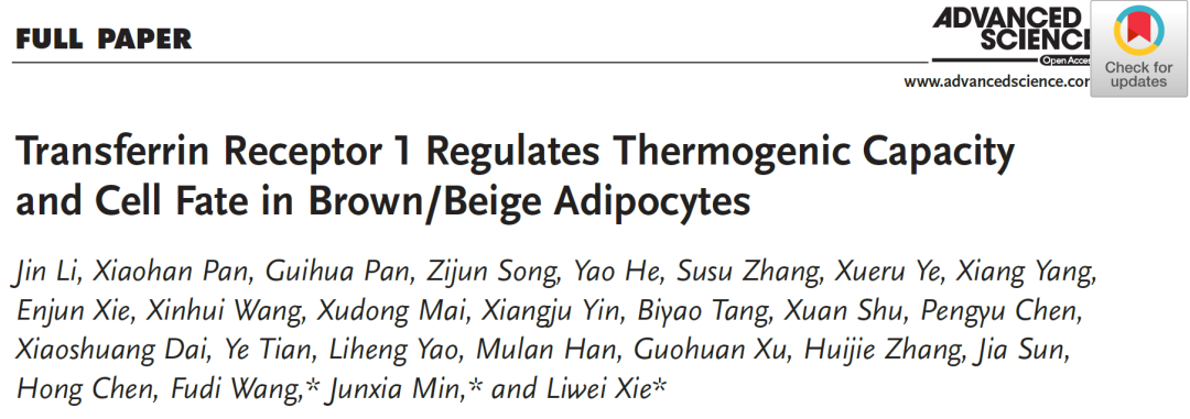 王福俤/闵军霞/谢黎炜团队合作揭示转铁蛋白受体调控脂肪细胞产热及