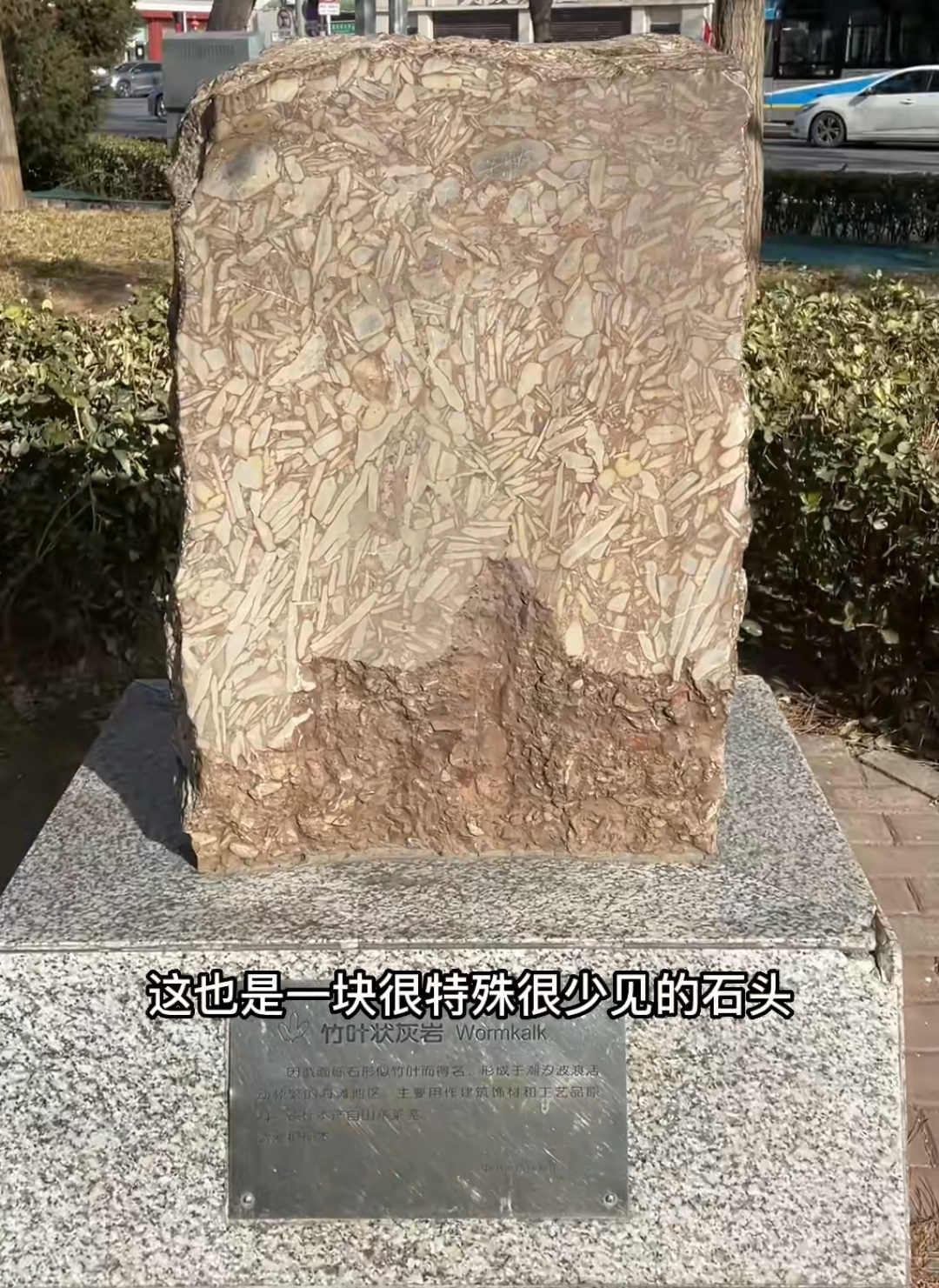 微信图片_20241105090926.jpg