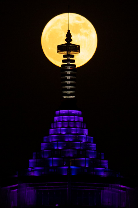 IMG_8628.png