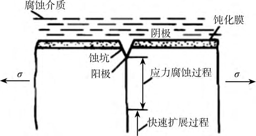 干货| 金属材料应力腐蚀分析