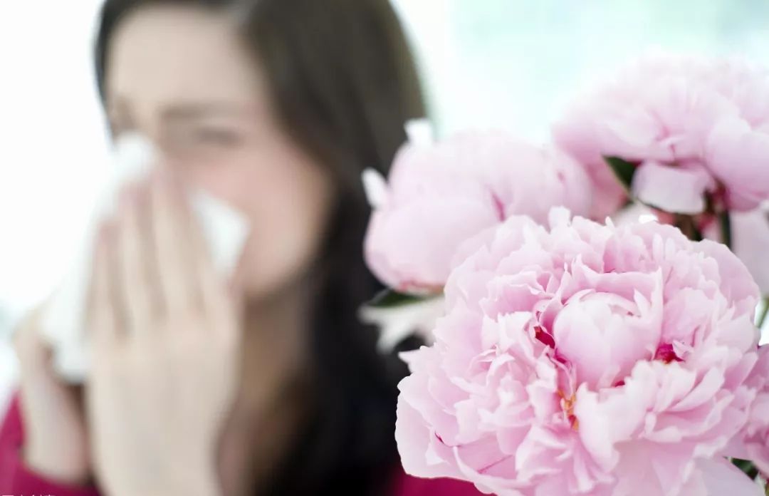 春季赏花时,花粉过敏要当心