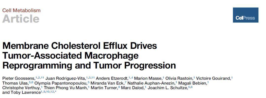 在cell metabolism上在线发表题为membrane cholesterol effluxdrives