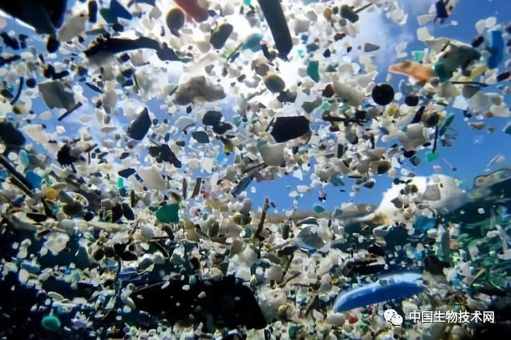 微塑料:一场不知不觉的污染