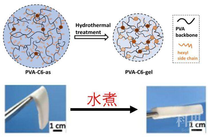 图1 水煮增强短烷烃链(以己烷为例)交联合成的水凝胶材料.