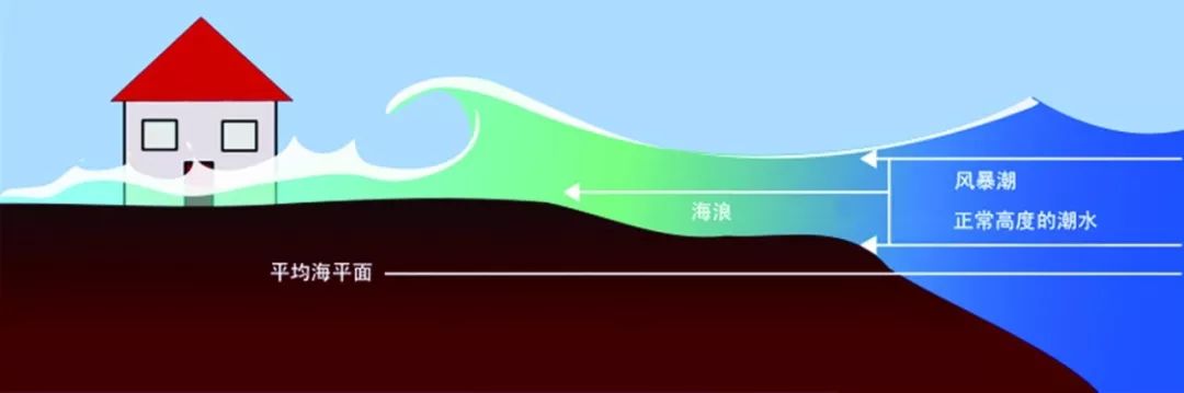 海浪形成示意图 物理海洋学是用物理学的观点和方法来研究海洋的学科