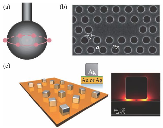 (b)光子晶体微腔[20];(c)复合表面等离激元结构及其间隙表面等离激元