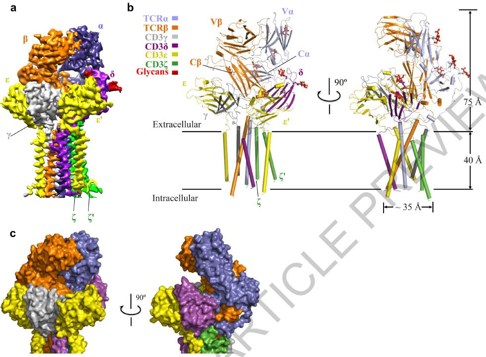 哈尔滨工业大学黄志伟团队连续发表4篇nature,在结构领域取得重大进展
