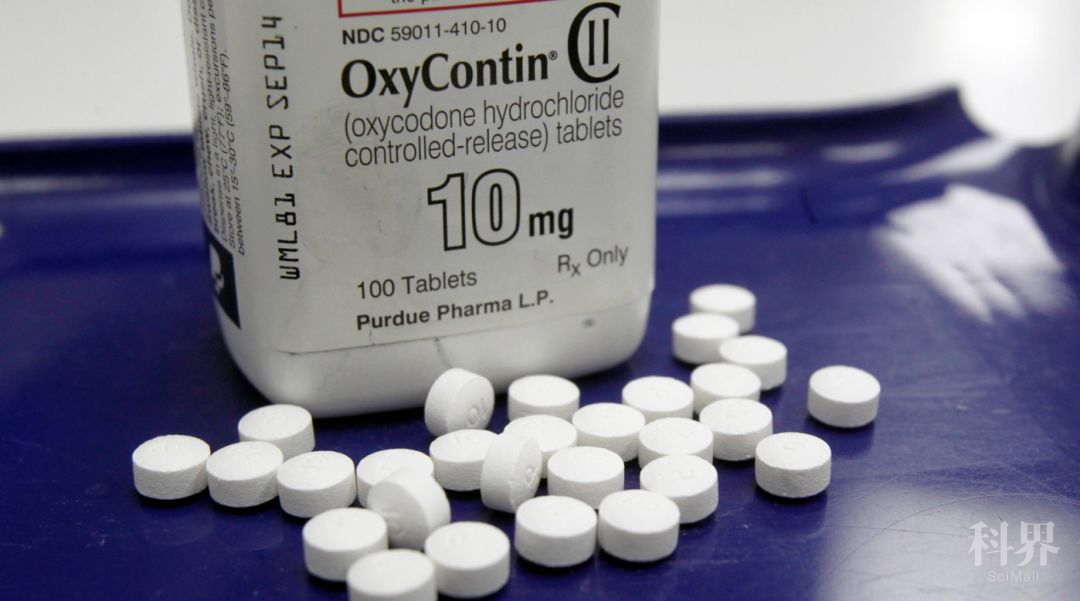 普渡制药生产的阿片类止痛药 oxycontin   图片来源:toby talbot/ap