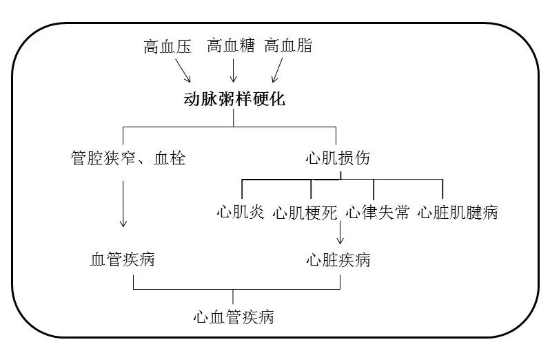 茶科技进展 | 茶多酚对动脉粥样硬化的预防作用与机理