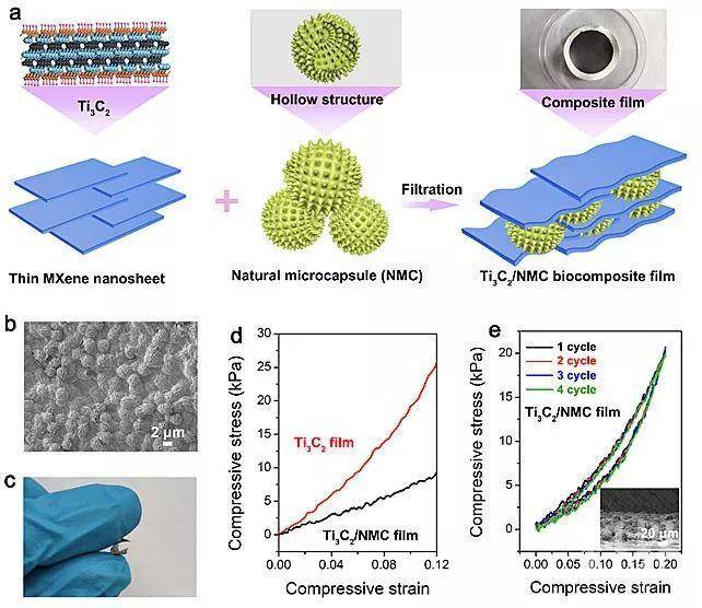 acs nano:mxene生物复合材料—高性能柔性压力传感器的新思路