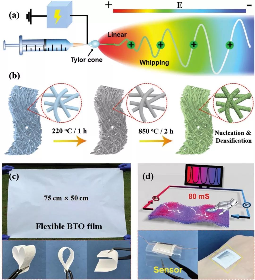 顶刊《afm》东华大学柔性陶瓷纳米纤维加工领域