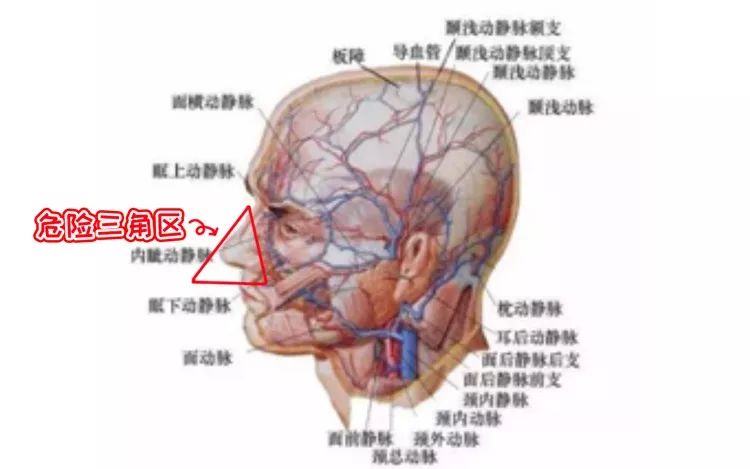 人体这个脆弱敏感部位,碰破皮竟会致命!你想象不到