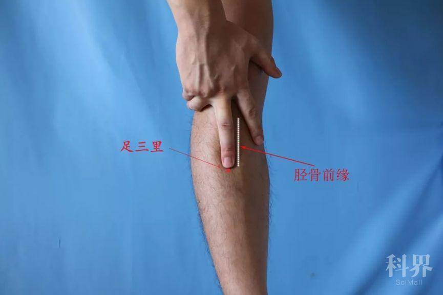 足三里