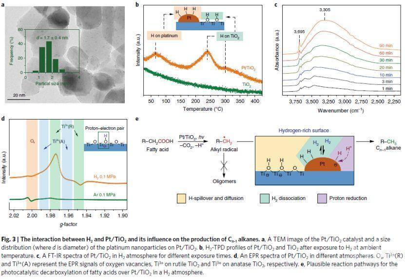 大化所王峰nature catalysis:光催化生物质脂肪酸脱羧