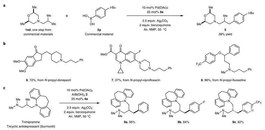 烷基叔胺的γ-c(sp3)–h键芳基化