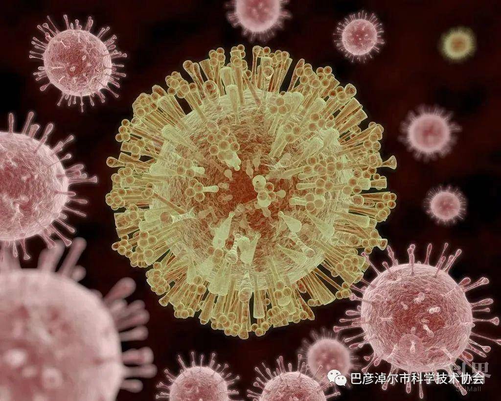 新型冠状病毒怎样绕过人体的免疫系统