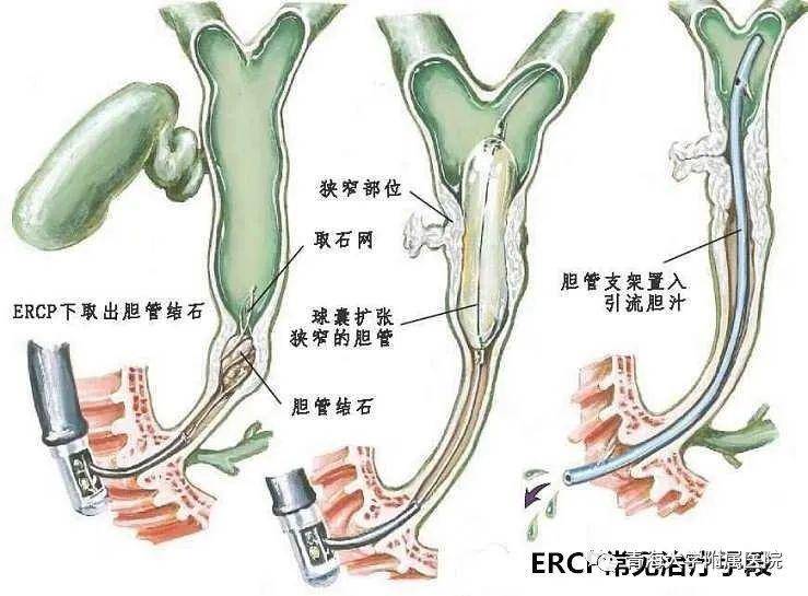 查看源网页