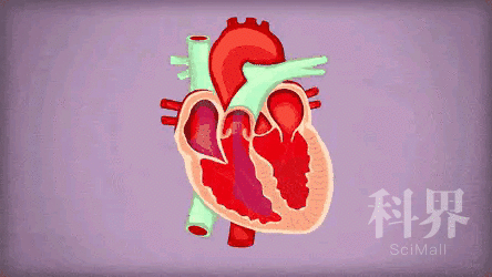 你伤心时,心脏可能真在受伤!4个方法教你调节负面情绪