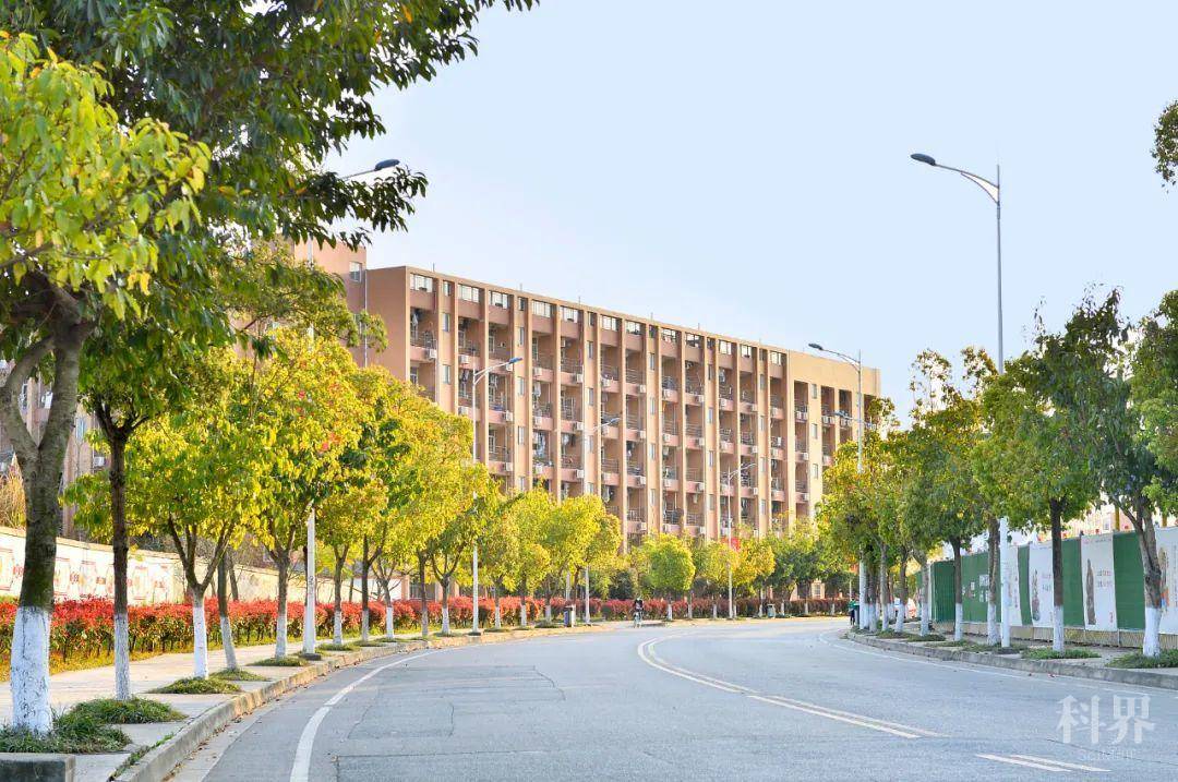 成都理工大学2020年招生章程