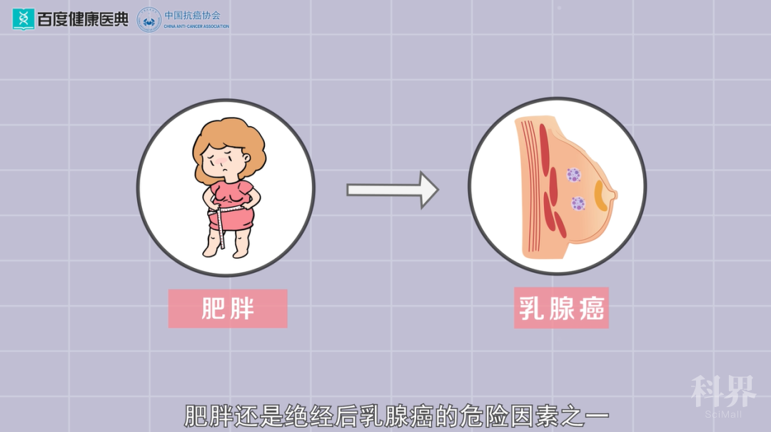 【防癌早知道】乳腺癌系列-肥胖与乳腺癌有何关系?