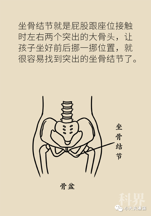 让孩子做好前后挪一挪位置,就很容易找到突出的坐骨结节了