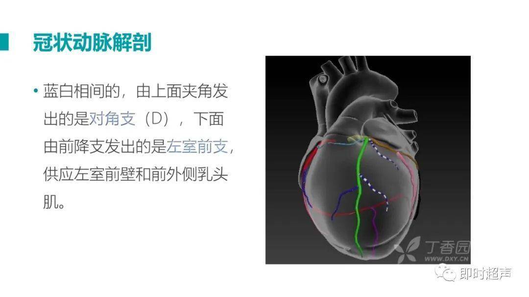 【收藏】心肌梗死及其并发症的超声诊断思路