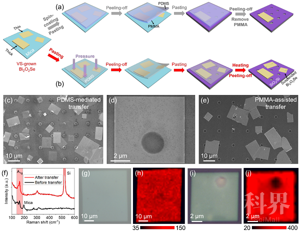 pdms介导法转移二维bi2o2se后的结构形貌表征