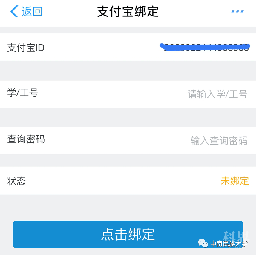 输入对应的信息完成校内身份认证