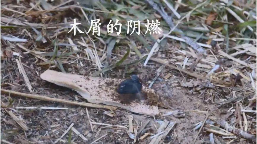 从钻木取火谈燃烧:阴燃与明火