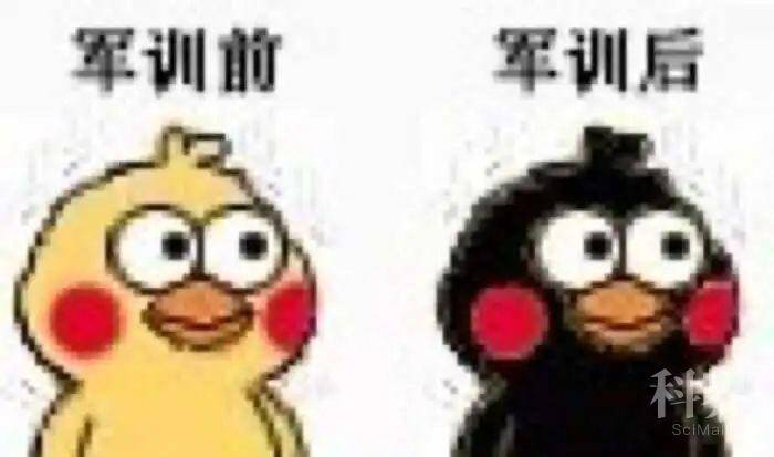 小记者们也有抓拍到一些训练时的搞笑日常,理大军训表情包高能预警中
