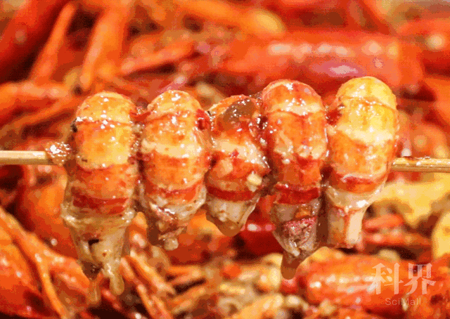 9元享门市价128/258元【花跳跳自助餐厅】自助餐吃到嘴软!安排起来