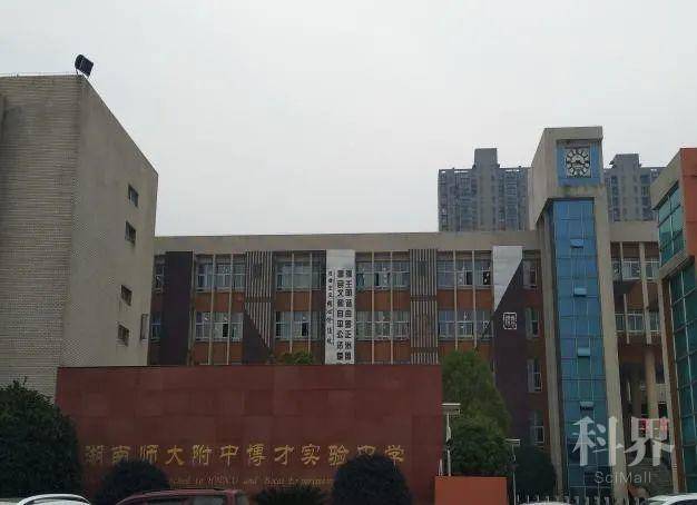 湖南师范大学政治系赴湖南师大附中博才实验中学实习队|实习手记:菠菜