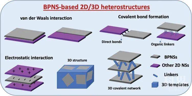 构建基于黑磷纳米片异质结构的艺术——从二维到三维结构