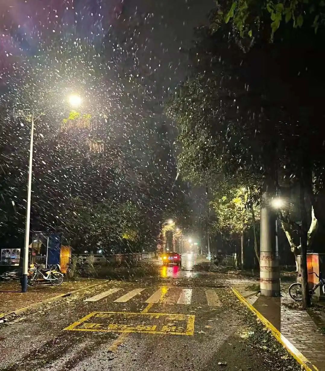 南理工的雪夜 路灯下的国旗熠熠生辉