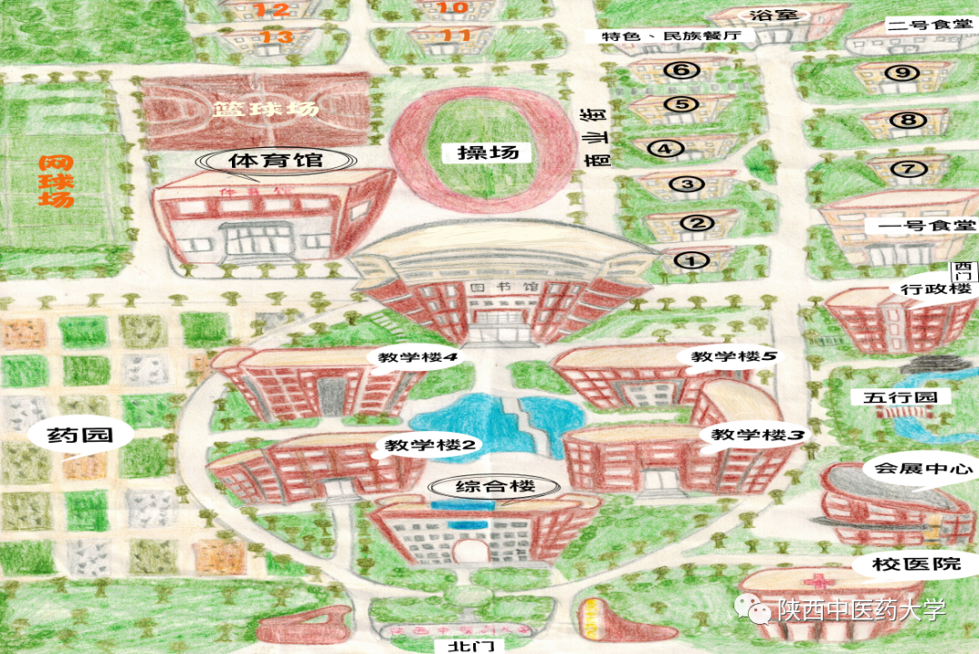 陕西中医药大学南校区总览图