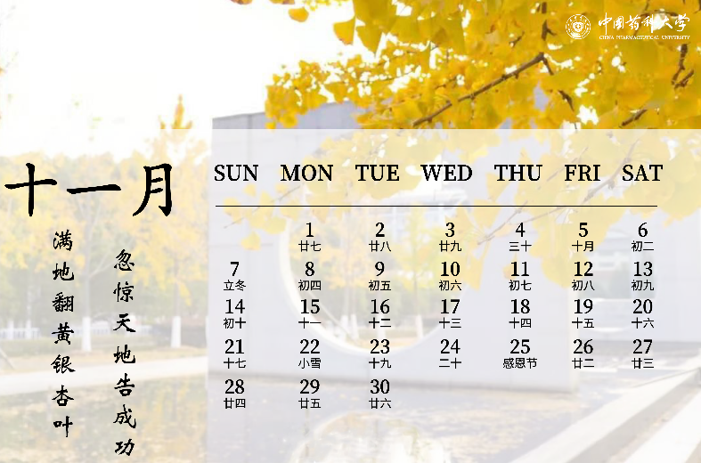 2021年日历大图电子版,2021年日历表电子版 2021年药大日历,予你灿烂新篇