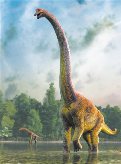 澳大利亚史上最大恐龙出场但想当世界最大还得再长长