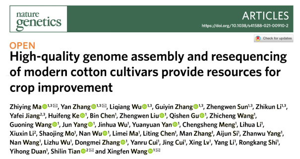 河北农业大学马峙英团队在棉花现代品种基因组及结构变异方面取得重要