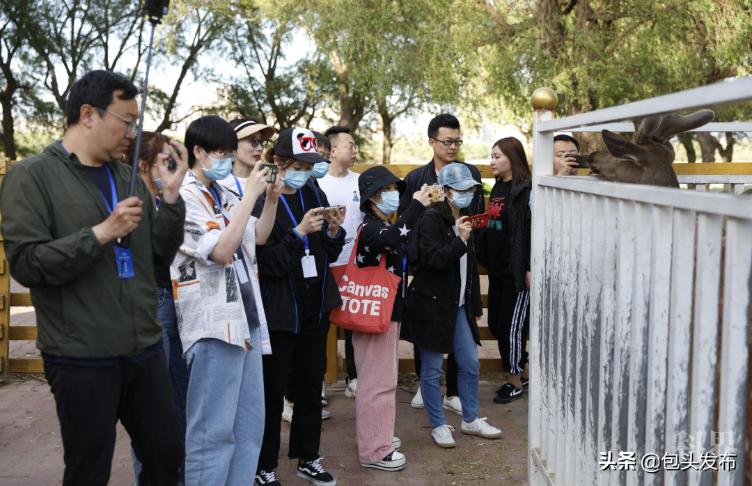 九大央媒齐聚包头，点赞宝藏之城！