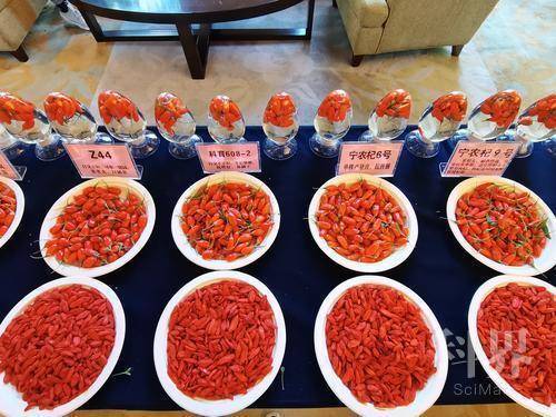 binary_middle (1).jpg