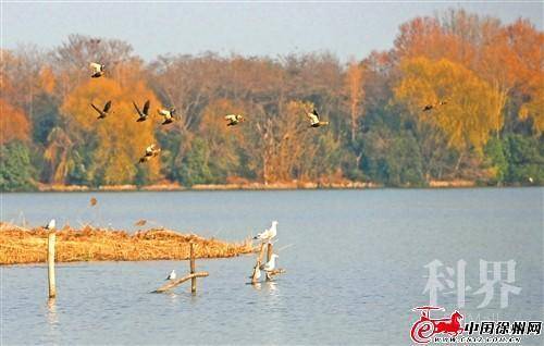 res01_attpic_brief (5).jpg