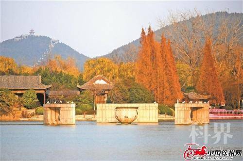 res04_attpic_brief (1).jpg