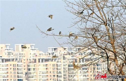 res07_attpic_brief (1).jpg