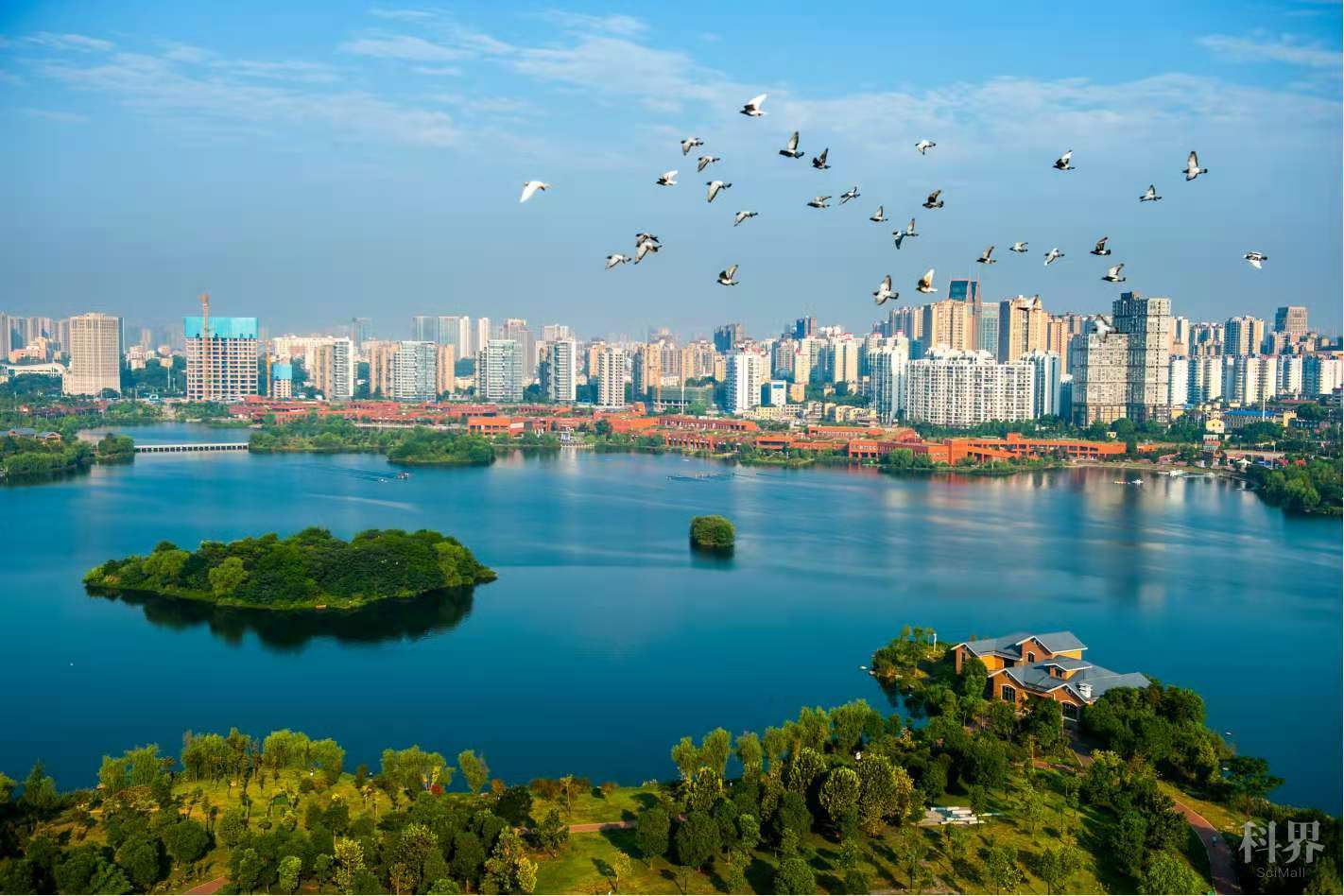 西湖文化园美景。岳麓区委宣传部 供图