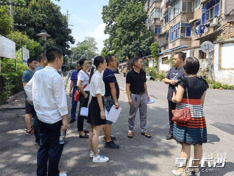 参与各方在水竹街现场商讨整治方案。