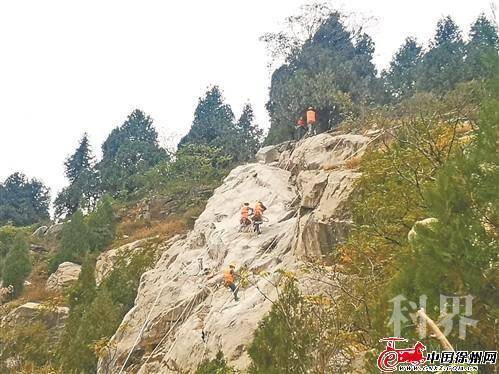 res01_attpic_brief (11).jpg