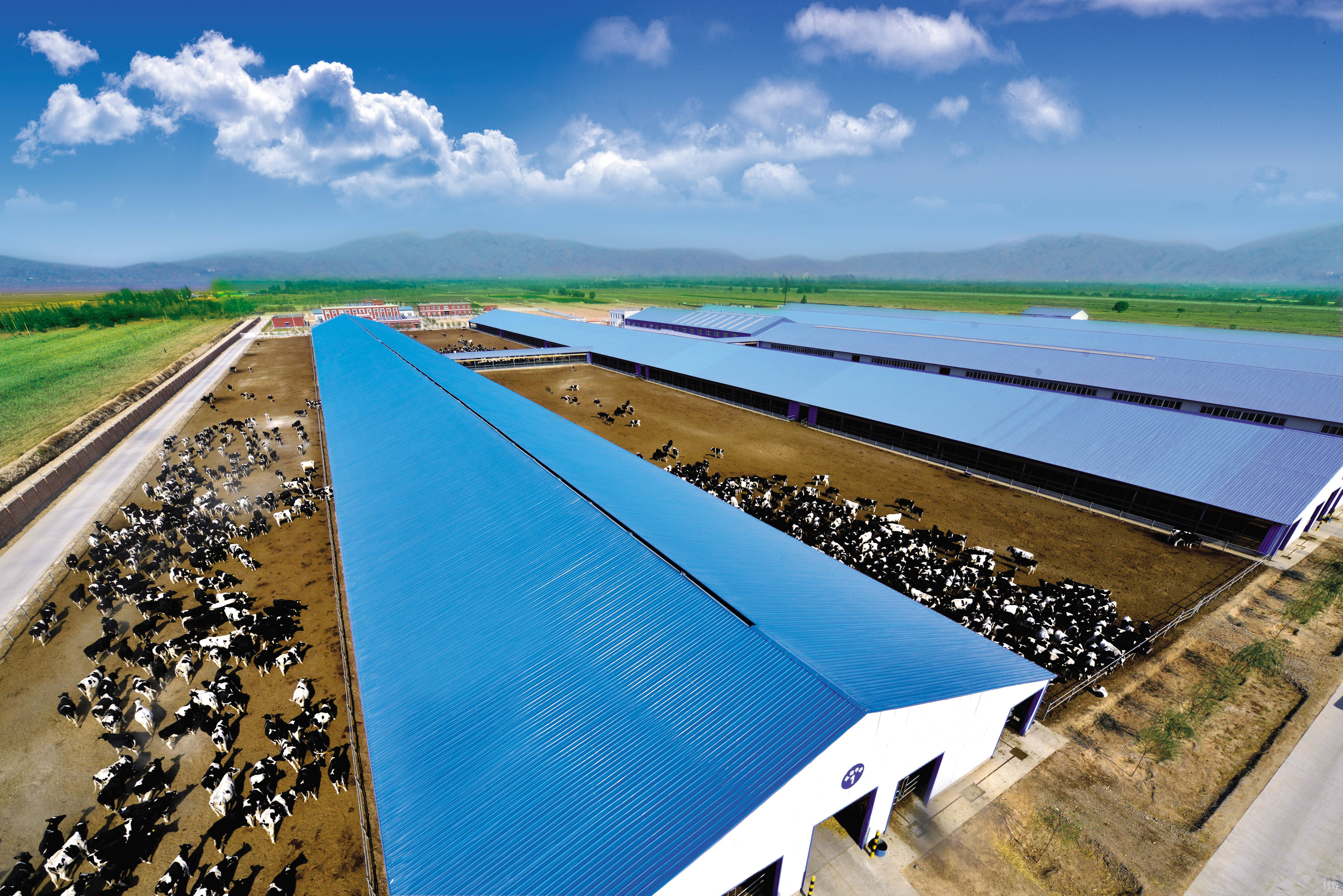 第七批农业产业化国家重点龙头企业名单出炉 67宁夏农垦奶业公司